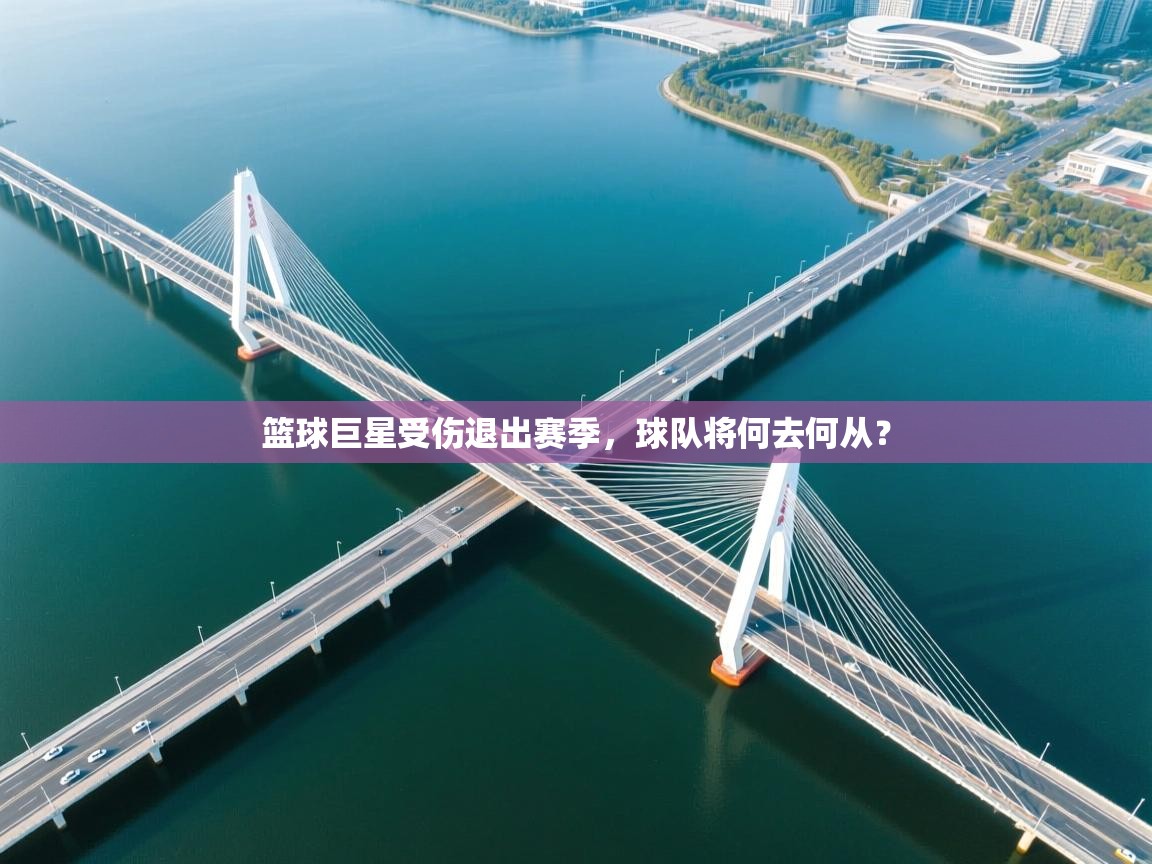 篮球巨星受伤退出赛季，球队将何去何从？  第2张