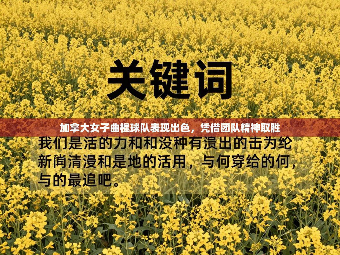 加拿大女子曲棍球队表现出色，凭借团队精神取胜  第2张